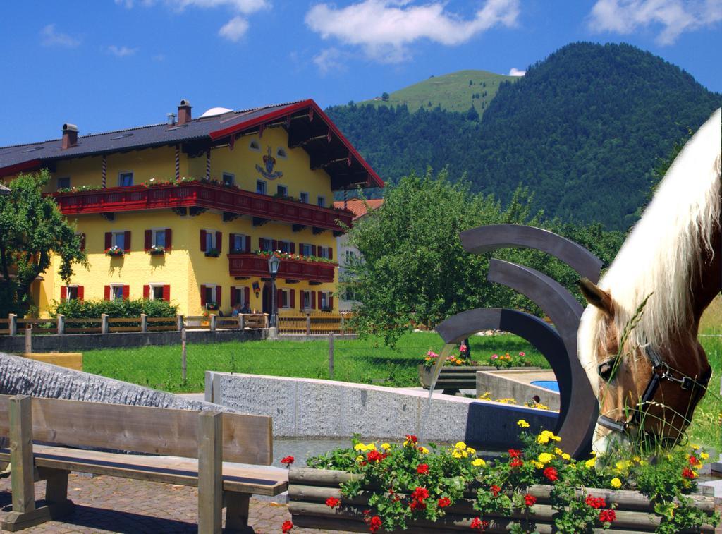 Reitanlage Dagnhof Apartment Walchsee Exterior photo